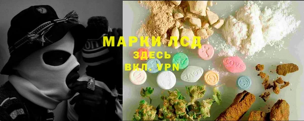 спайс Бородино