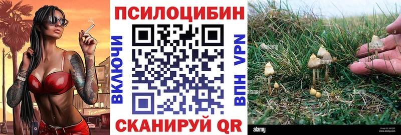 Галлюциногенные грибы Magic Shrooms  omg онион  Гремячинск 